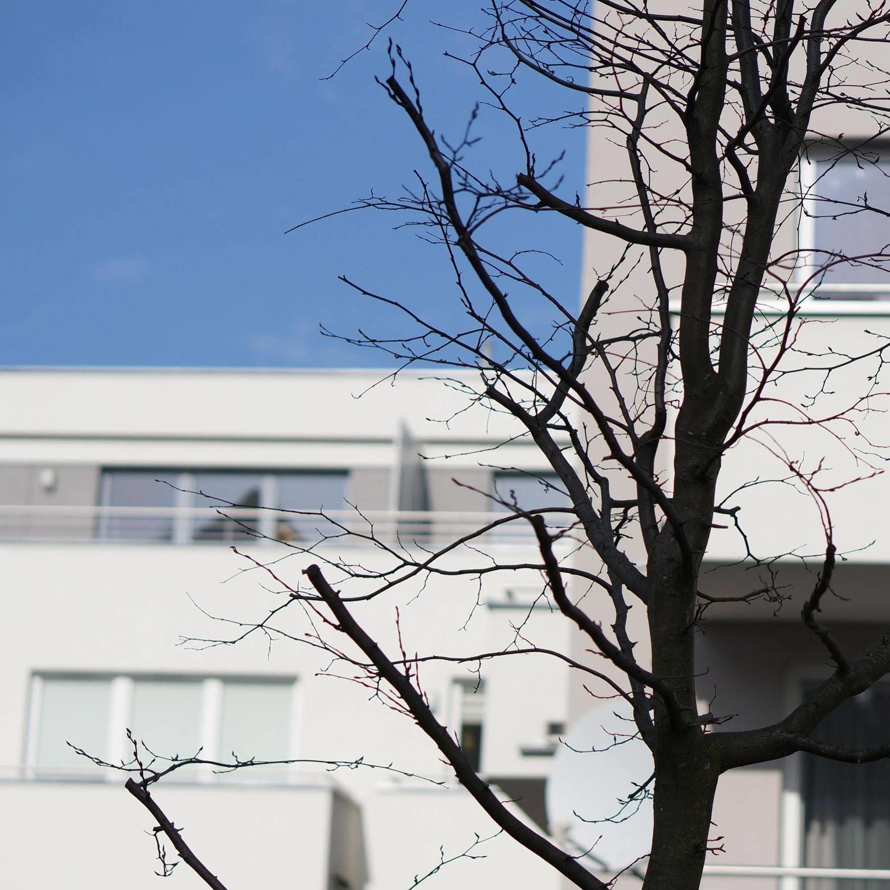 غدانسك La Petite Apartments المظهر الخارجي الصورة